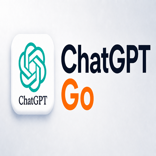 GPT go 代充一个月