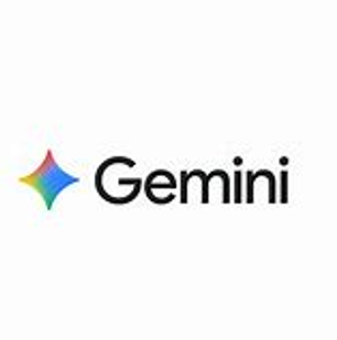 Gemini pro 12个月会员